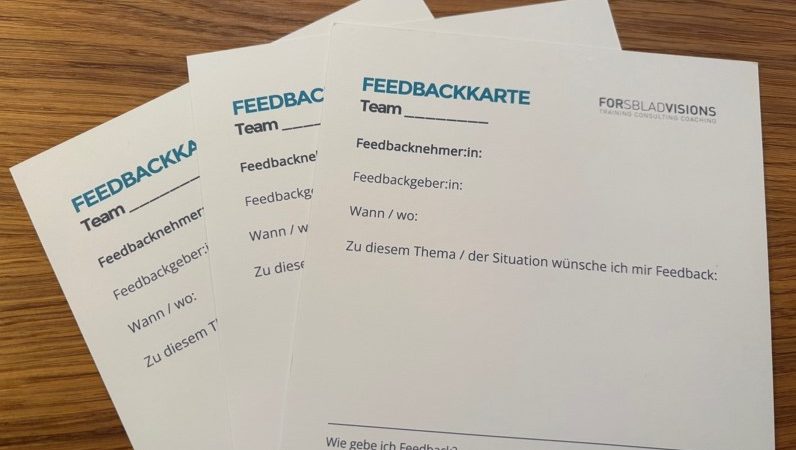 Forsblad-Visions-Feedback